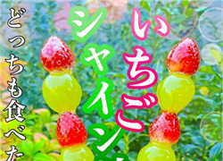 kitchencar
