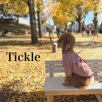 Tickle